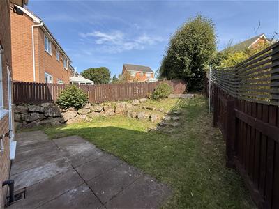 Picture 14